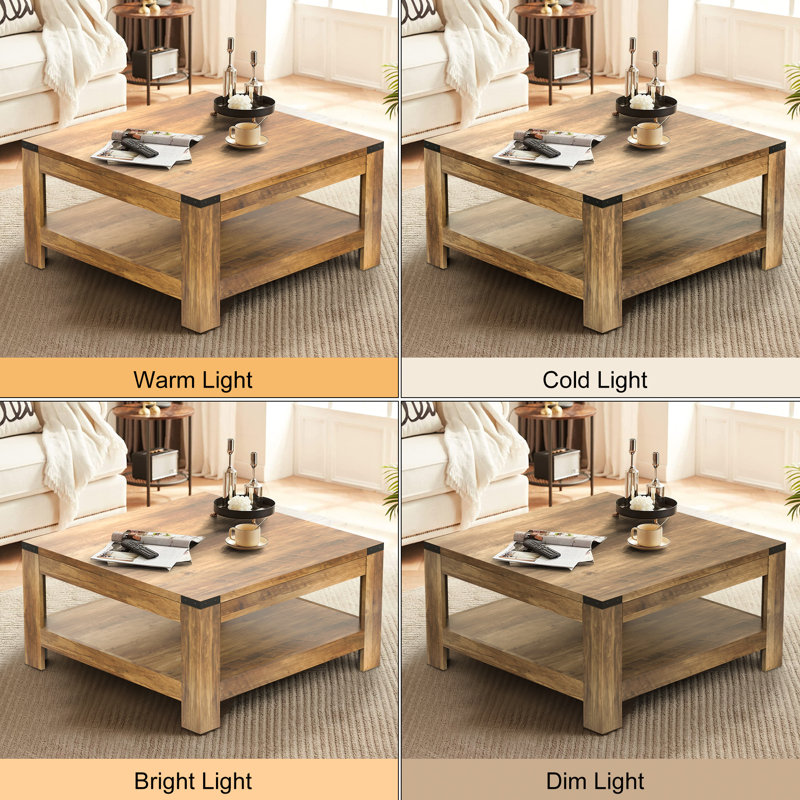 Millwood Pines Zara Square Coffee Table With 2-tier Storage